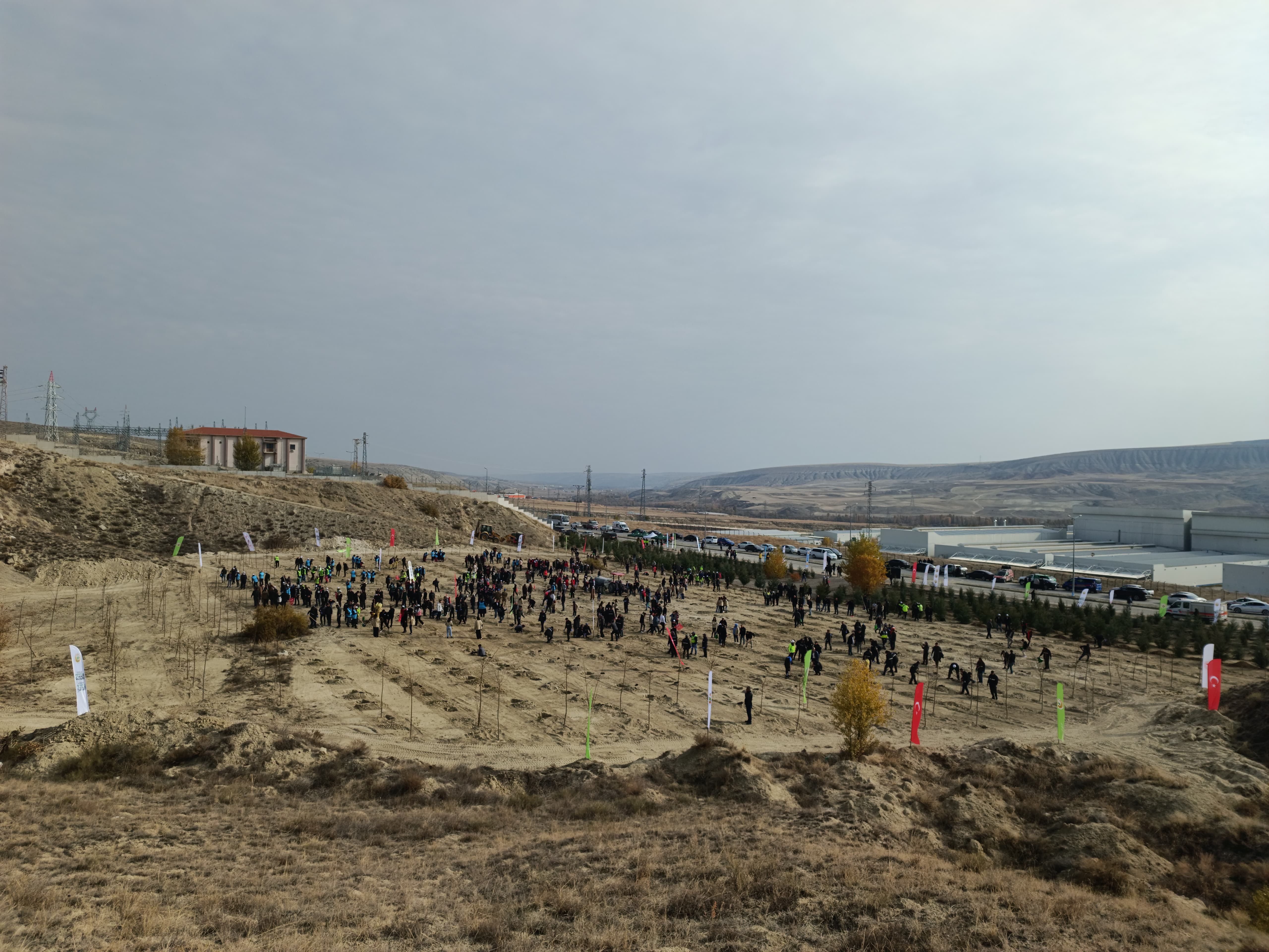 1250 ADET FİDAN DİKİMİ GERÇEKLEŞTİ